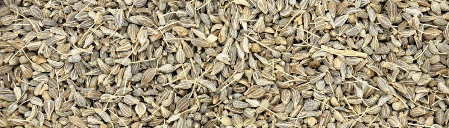 AniseSeeds_Portfolio_HeaderImage_01