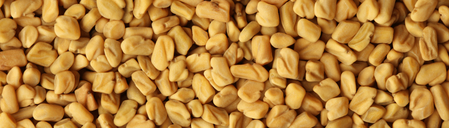 Fenugreek_Portfolio_HeaderImage_01