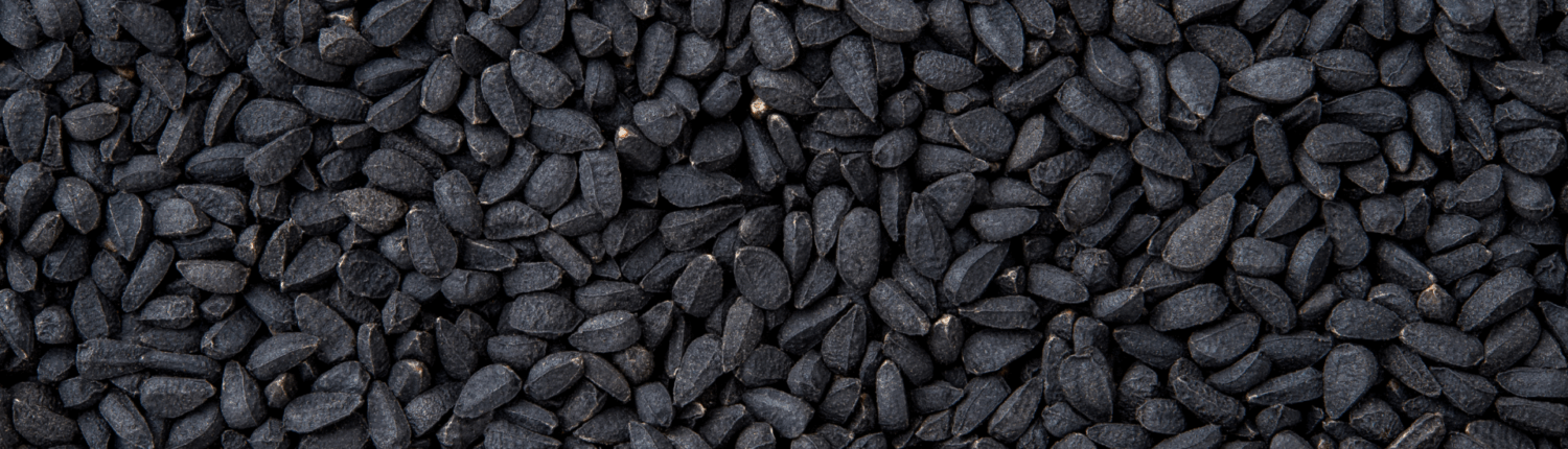 NigellaSeeds_Portfolio_HeaderImage_01